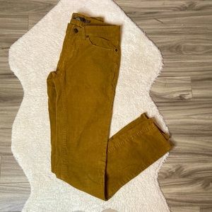 PRANA Trinity Corduroy Pants in Tortoise Size: 2